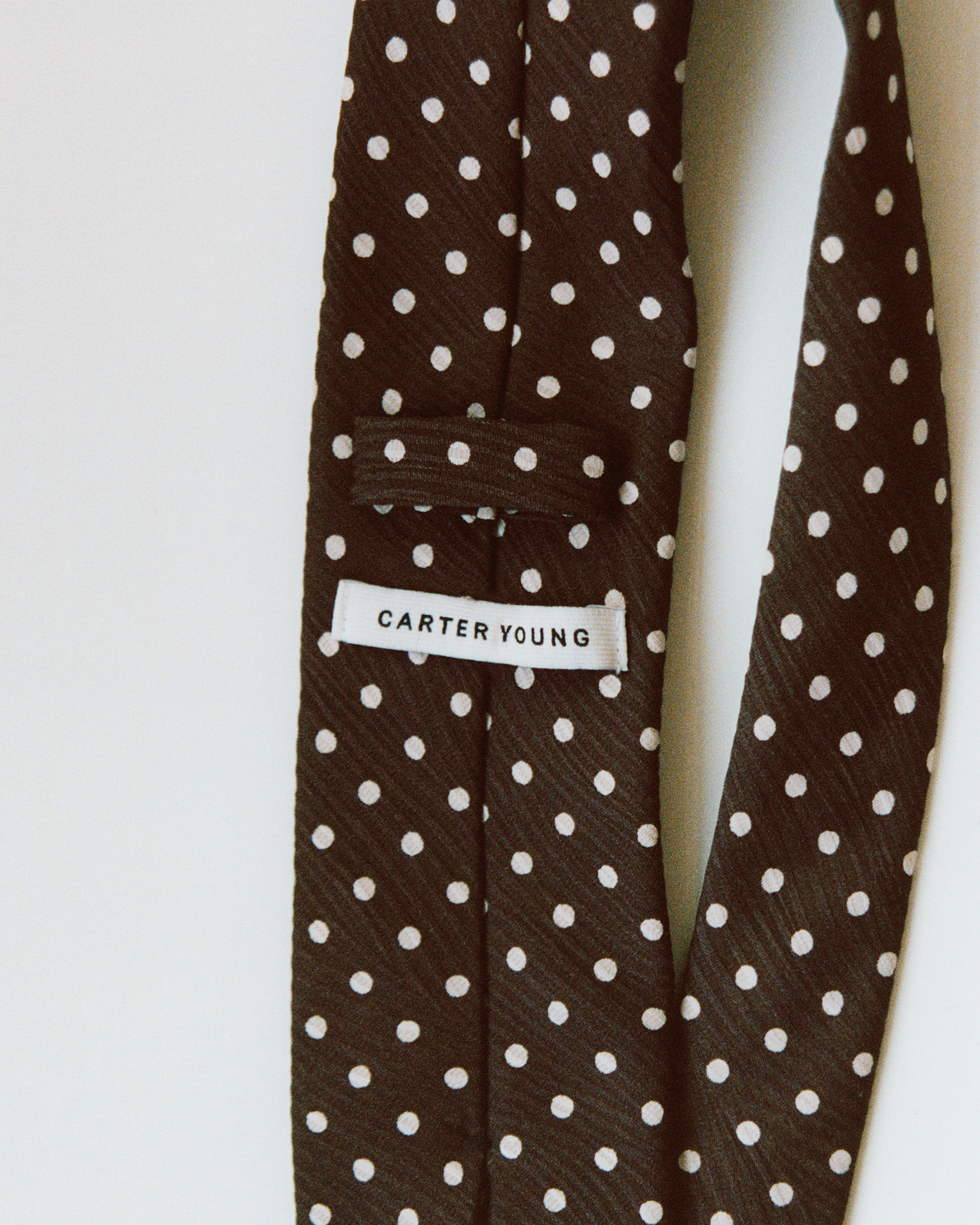Carter Young Silk Necktie - Brown/Cream Polka Dot